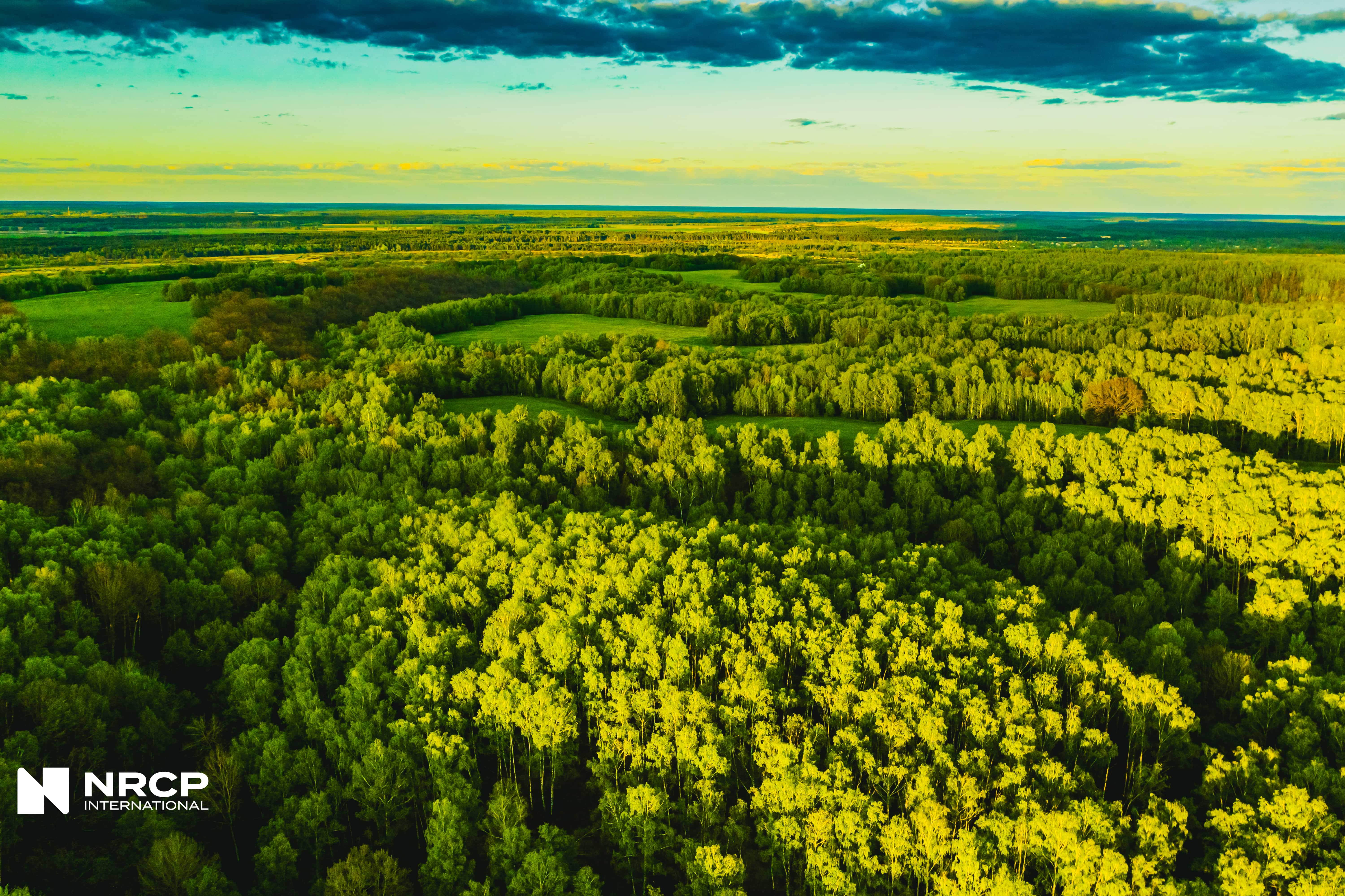 NRCP International: Pioneering Sustainable Mining Solutions